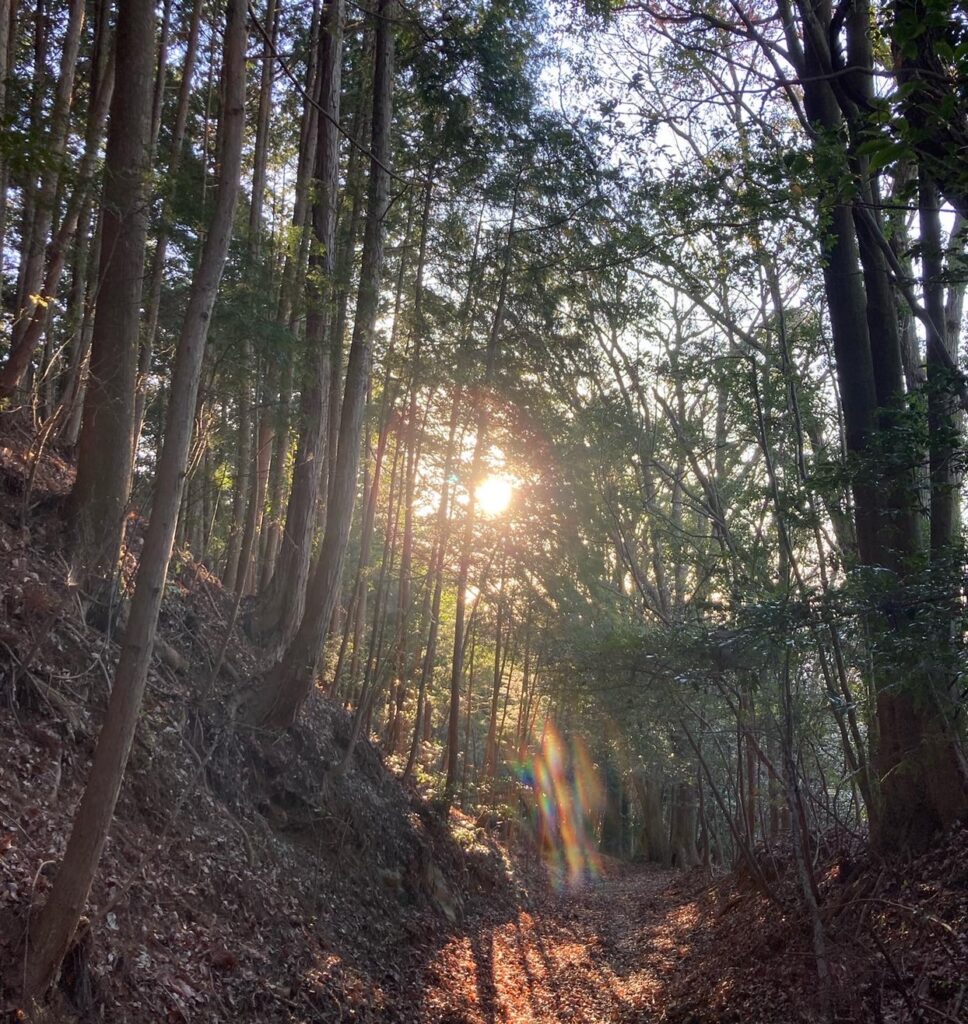 和歌山県の山中