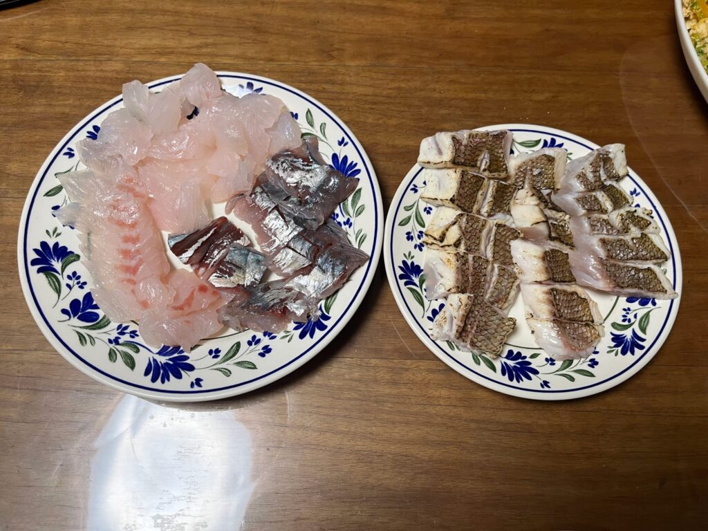 鯛とオオモンハタの刺身&炙り